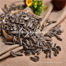 2019 new crop Bulk stripe sunflower seed 5009 for human consumption